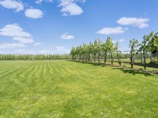 Villa Borgloon with Blossom Views and Jacuzzi Villa in Flanders