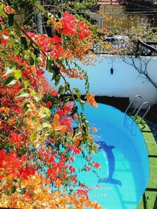The Grande Villa - 7BR Pool Villa Villa in Vung Tau