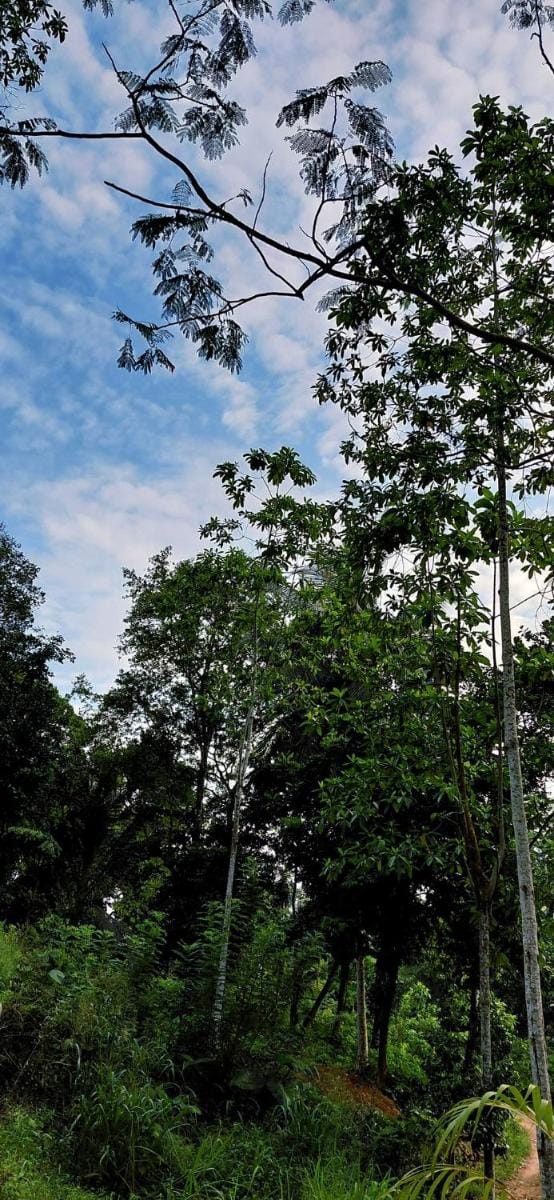 Pinna Eco Bed and Breakfast in Southern Province