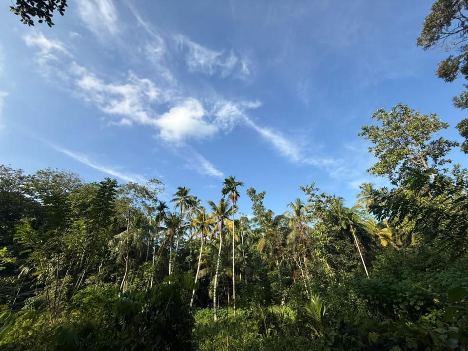 Pinna Eco Bed and Breakfast in Southern Province