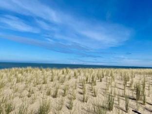 Cozy 4th Floor Apartment Apartment in Knokke-Heist