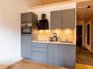 Modern apartment with sauna Apartment in Styria