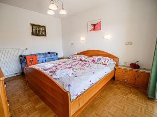 Sunny and Spacious Apartments with Terrace near Water Park - One Bedroom Apartment with Terrace Apartment in Slovenia