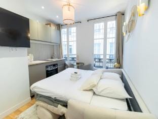 Charming Studio Center of Paris Apartment in Paris