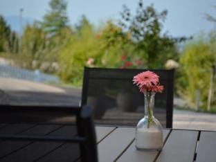 Standard One Bedroom Apartment Apartment in Slovenia