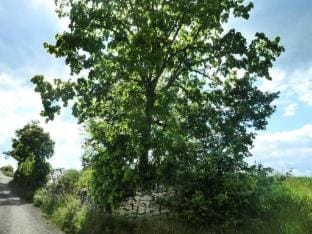 Gite de France nature Apartment in Occitanie