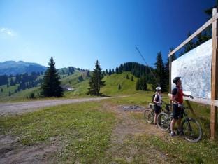 Alpagiste Chalet for seven people Apartment in Morillon