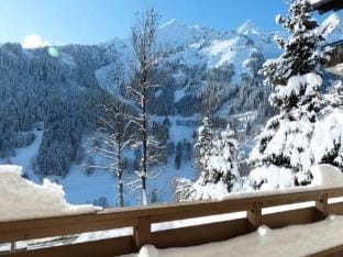 Belrose Residence Apartment in La Clusaz