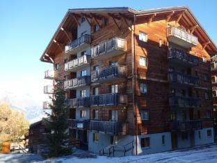 Amazing apartment close to the centre Apartment in Nendaz