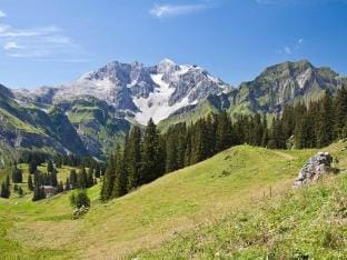 Lombard Chalet Apartment in Combloux
