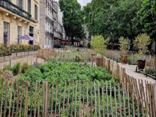 Charming studio in historic center Apartment in Montpellier