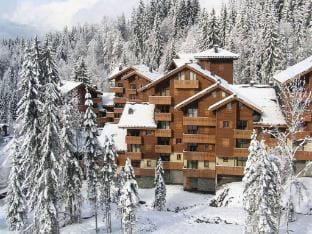 Refuge Residence De lalpage Bat F Apartment in Morillon