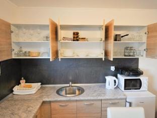 Relax and Rustic Apartments with Terrace - Standard One Bedroom Apartment with Terrace Apartment in Slovenia