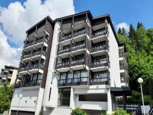 Sunny Studio With Balcony Apartment in La Clusaz