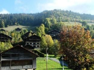 Residence Villavit Apartment in Le Grand-Bornand