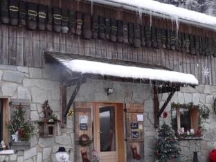 Residence Villavit Apartment in Le Grand-Bornand