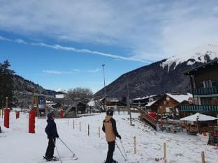 Chalet Ale Apartment in Les Gets