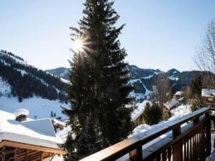 Alpanou Residence Apartment in La Clusaz