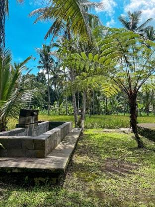 tarotours accommodation Country House in Tampaksiring
