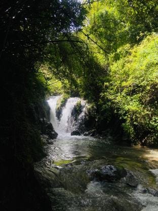 Gorilla River Side  Resort Mussoorie Vacation rental in Uttarakhand
