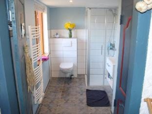 Comfortable thatched roof country house Vacation rental in Schleswig-Holstein