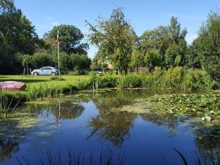 Thatched cottage in the meadow Vacation rental in Schleswig-Holstein