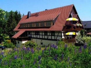 Holiday apartment landhaus Sorgenfrei Vacation rental in Sächsische Schweiz-Osterzgebirge