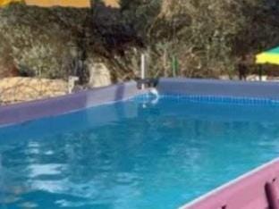 Holiday Home Village Paradise Vacation rental in Zadar County