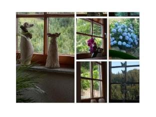 Holiday apartment Auf dem Sohlberg Vacation rental in Ortenau