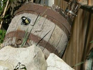 Eco-house Comfortable holiday residence Vacation rental in Bavaria