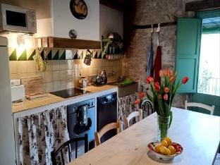 Rustic Home in Mieres near Banyoles Lake Vacation rental in Garrotxa
