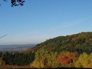 Swedish cottage comfortable residence Vacation rental in Bernkastel-Kues