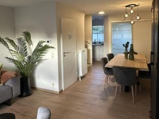 Holiday home with terrace and 2 rooms Vacation rental in Friesland