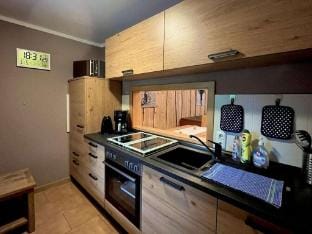 Holiday apartment directly on the ski slope Vacation rental in Erzgebirgskreis