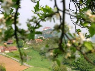 Holiday home in the vineyard The Vineyard Vacation rental in Styria