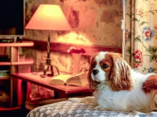 in southern France La Bastide Vacation rental in Provence