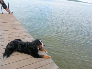 Holiday Park Lenzer Hoh VI Vacation rental in Plau am See