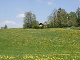 Jagdhaus Nantesbuch Comfortable holiday residence Vacation rental in Bavaria