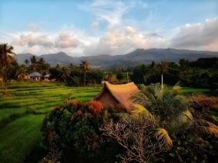 Cute Eco Cottage Near 7 Waterfalls Vacation rental in Buleleng