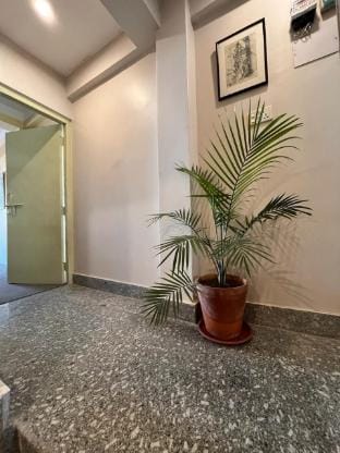 In front of Boudha Quite Forest room Vacation rental in Kathmandu