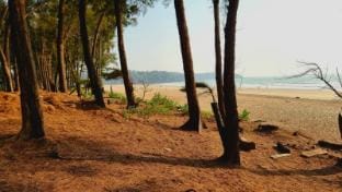 Nikhil's Luxury Beach Cottages Vacation rental in Goa, India