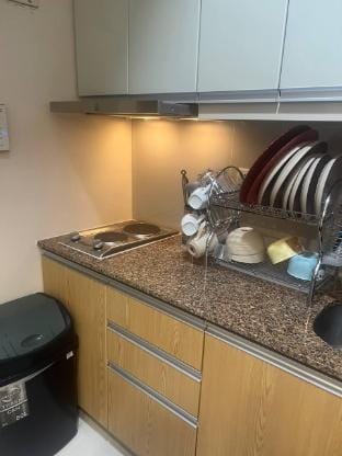 McKinley Viceroy Haven with Free Indoor Parking Vacation rental in Makati