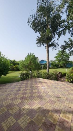 Expo Stay Farmhouse. Farm Stay in Noida
