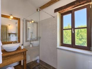 Authentic Villa Banic - Four Bedroom Villa With Pool Villa in Istria County