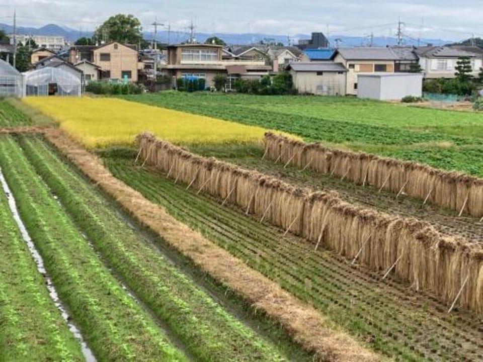 耀来YoRaiようらい Bed and Breakfast in Kyoto