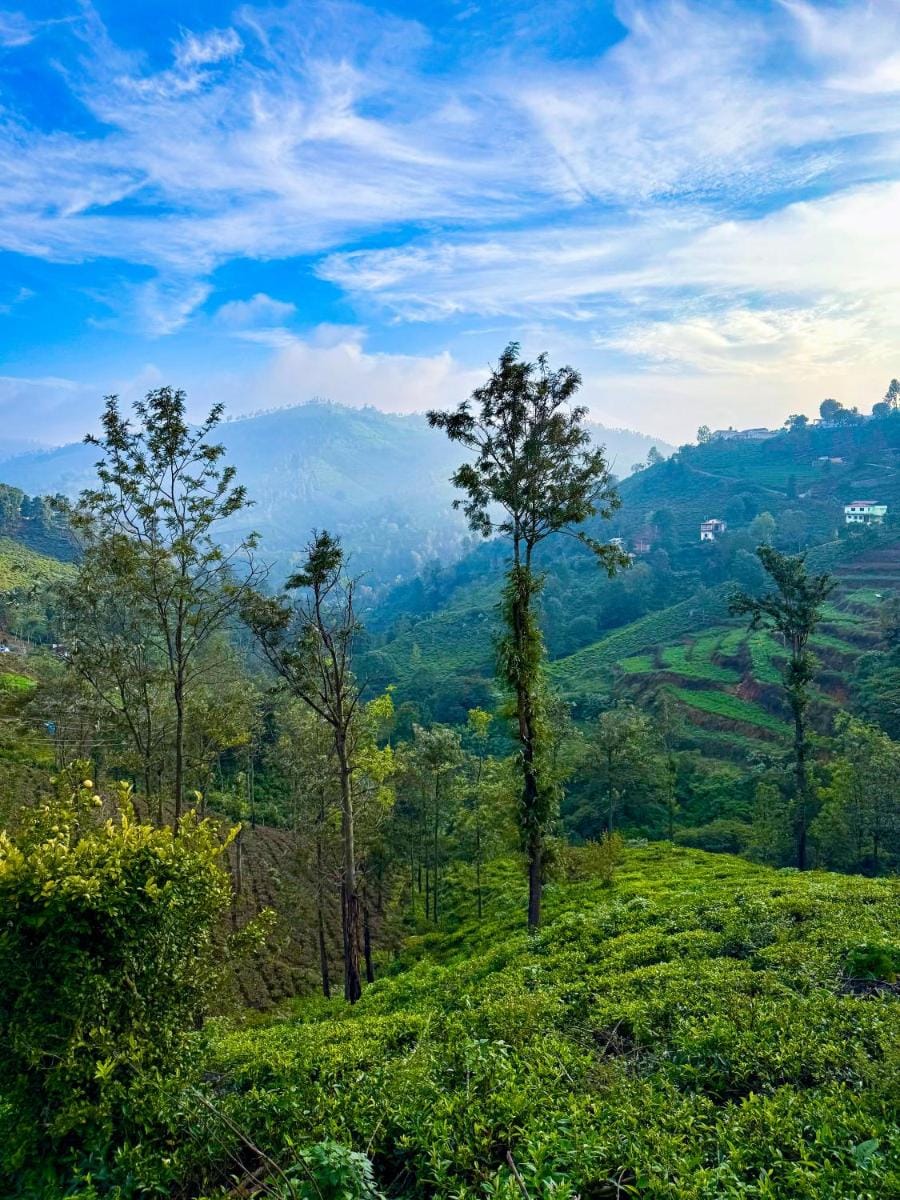 Mad & Nomad Backpackers Hostel Hostel in Tamil Nadu