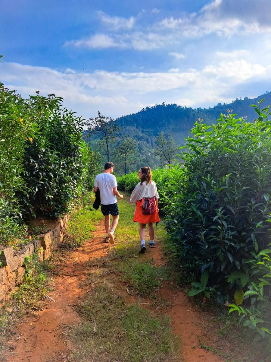 Mad & Nomad Backpackers Hostel Hostel in Tamil Nadu