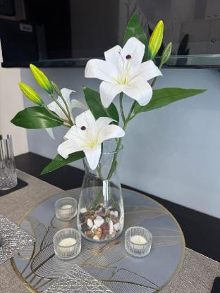 Cozy & Modern Studio Suite in Central Cebu City Apartment in Cebu City