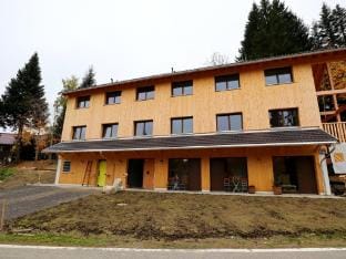 Dog-friendly holiday apartment in Bregenzerwald Apartment in Vorarlberg, Austria