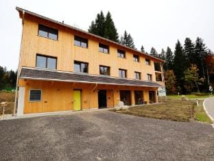 Dog-friendly holiday apartment in Bregenzerwald Apartment in Vorarlberg, Austria